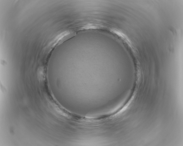 X0000090951353200708021329