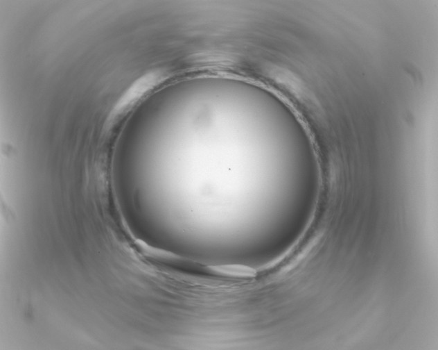 X0000090951354200708021329