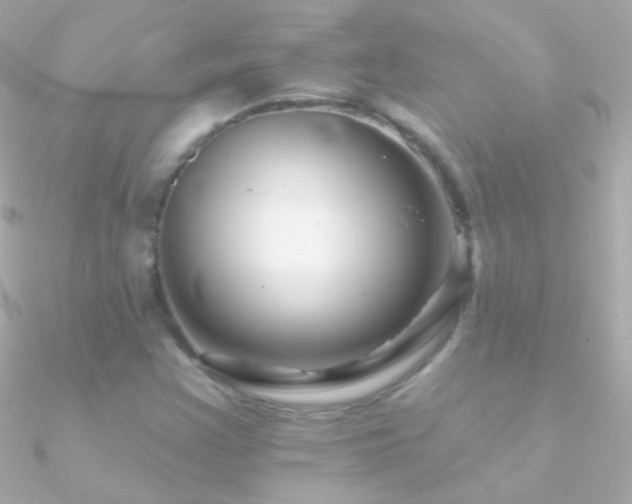X0000090951355200708021328