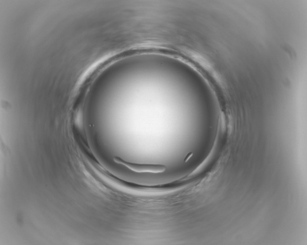 X0000090951356200708021328