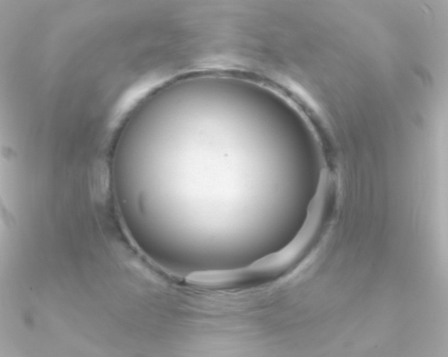X0000090951358200708021328