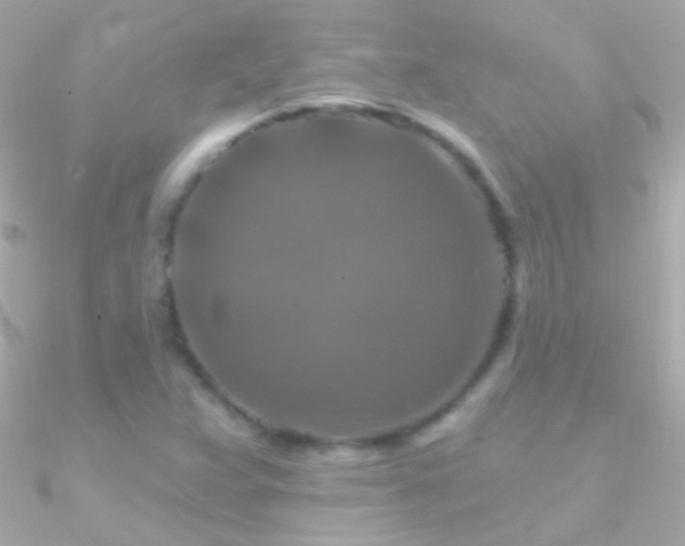 X0000090951359200708021328