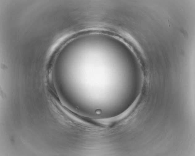 X0000090951360200708021328