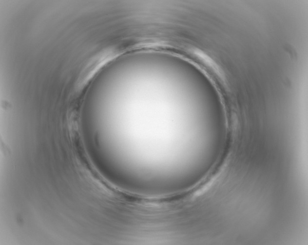 X0000090951361200708021328