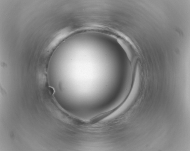 X0000090951363200708021328