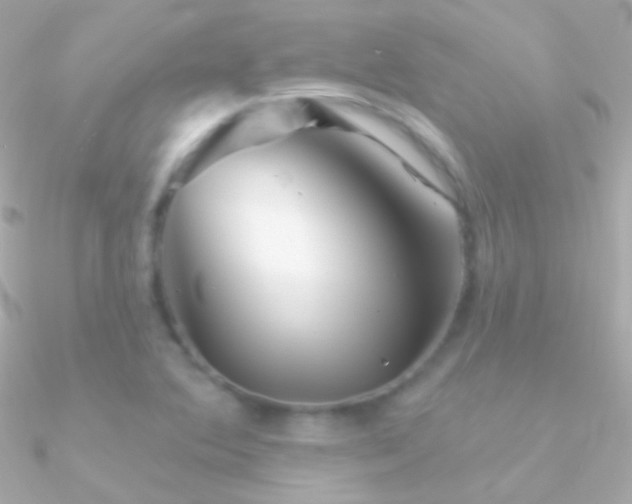 X0000090951364200708021328
