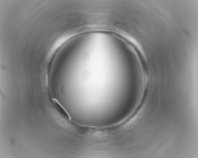 X0000090951365200708021328