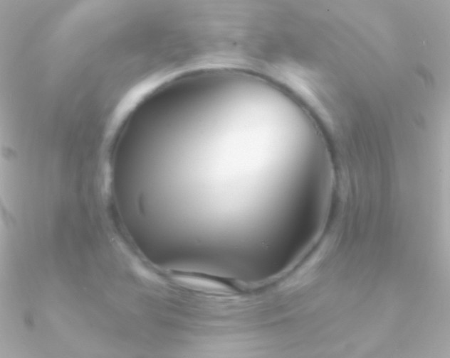 X0000090951366200708021328