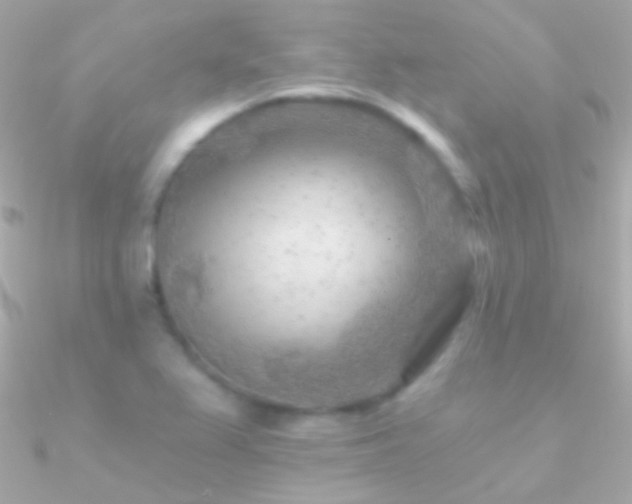 X0000090951367200708021328