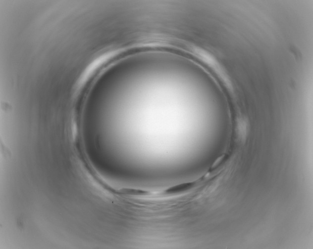 X0000090951368200708021328