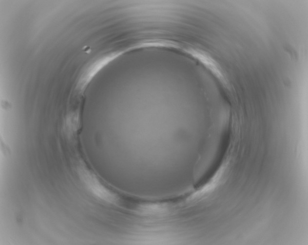 X0000090951369200708021328