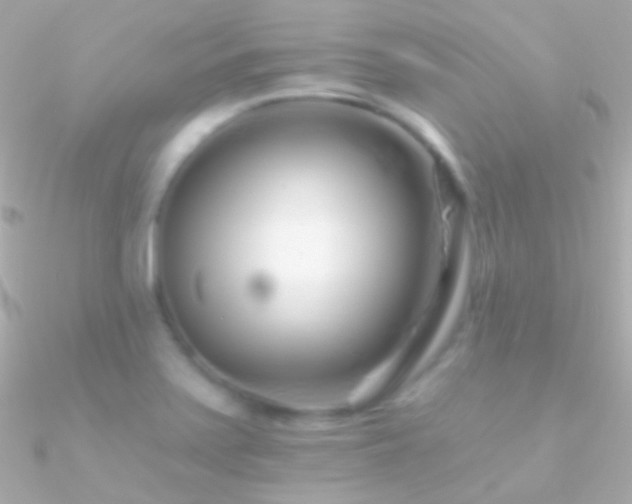 X0000090951371200708021328