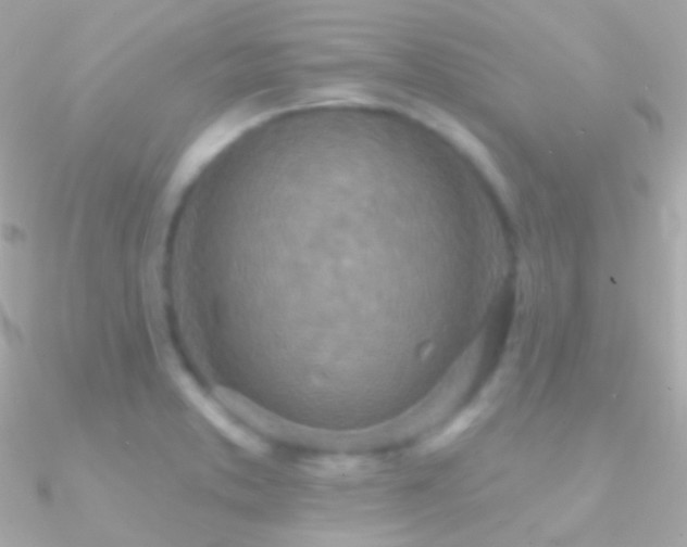 X0000090951373200708021328