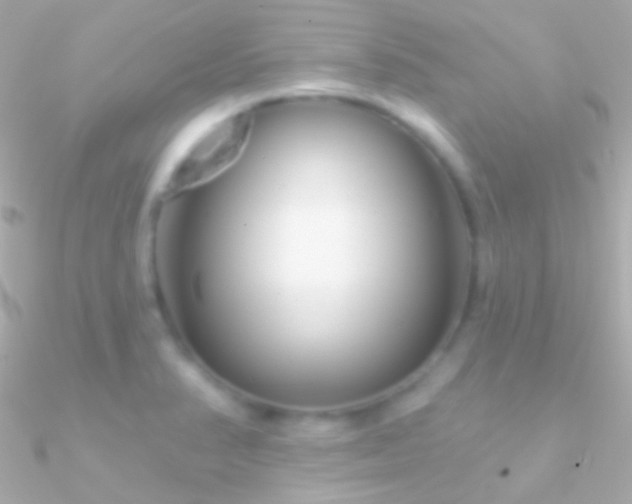 X0000090951374200708021328