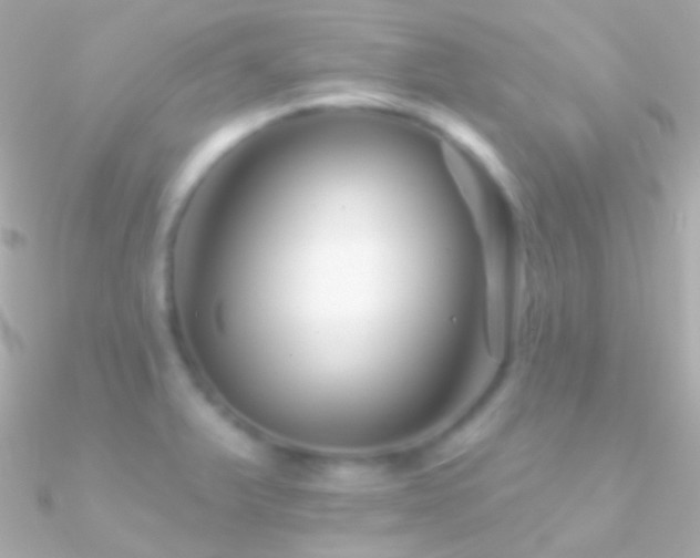 X0000090951375200708021328