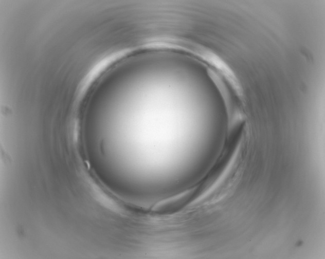 X0000090951376200708021328
