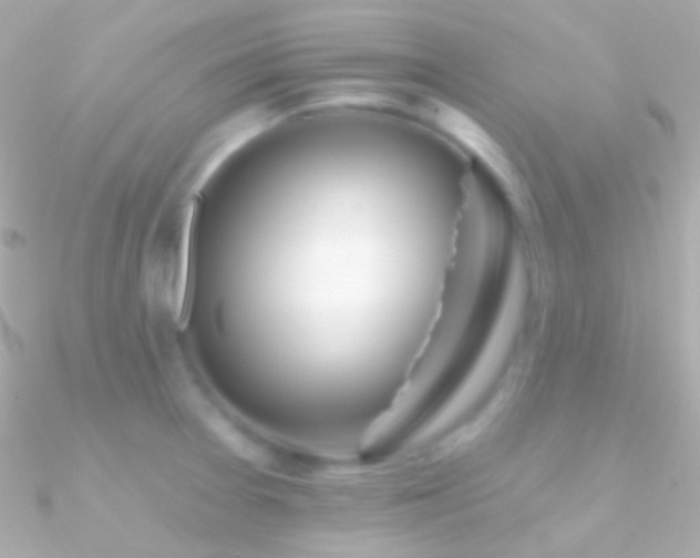 X0000090951377200708021328