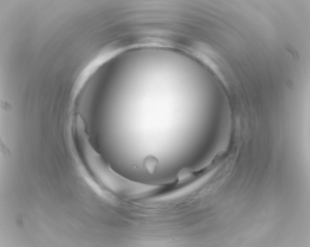 X0000090951379200708021328