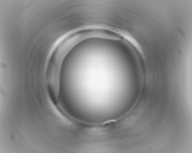 X0000090951380200708021328