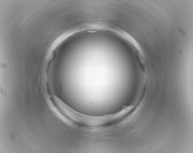 X0000090951381200708021328