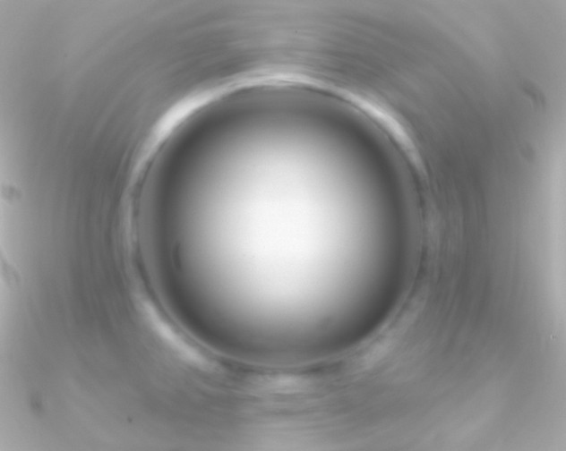 X0000090951382200708021328