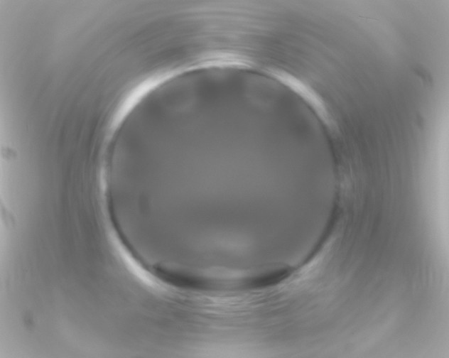 X0000090951383200708021328