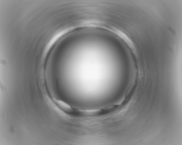 X0000090951384200708021328