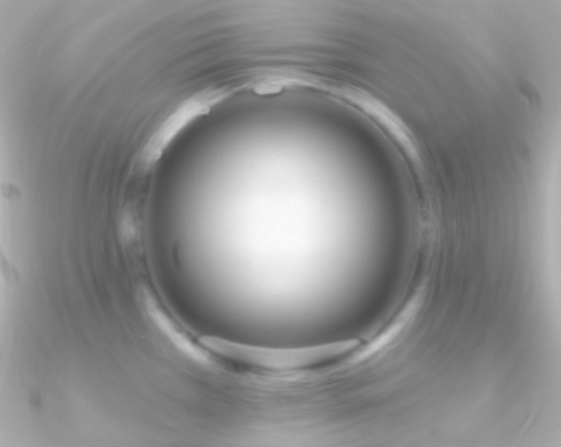 X0000090951385200708021328