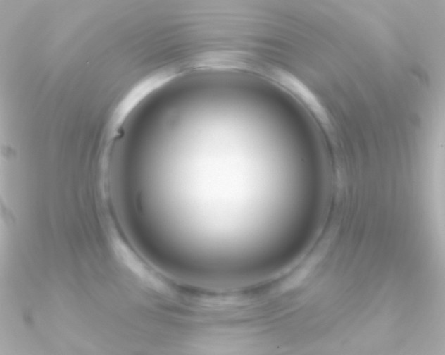 X0000090951386200708021328