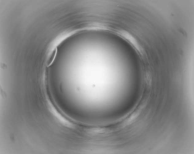 X0000090951387200708021328