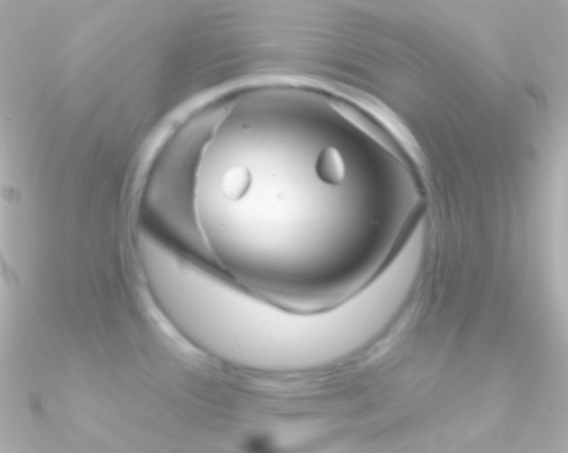 X0000090951388200708021328