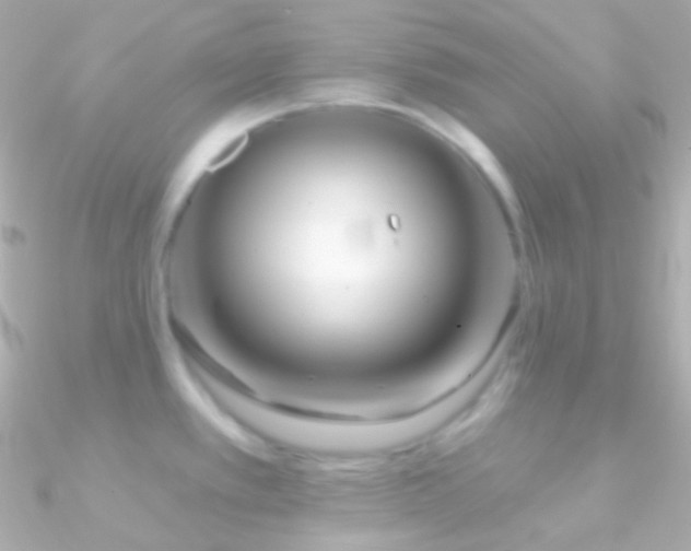 X0000090951389200708021328
