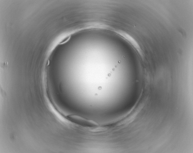 X0000090951391200708021328