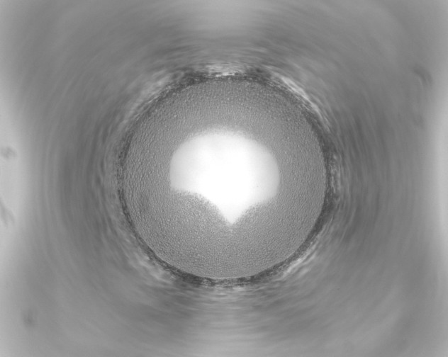 X0000090951393200708021328