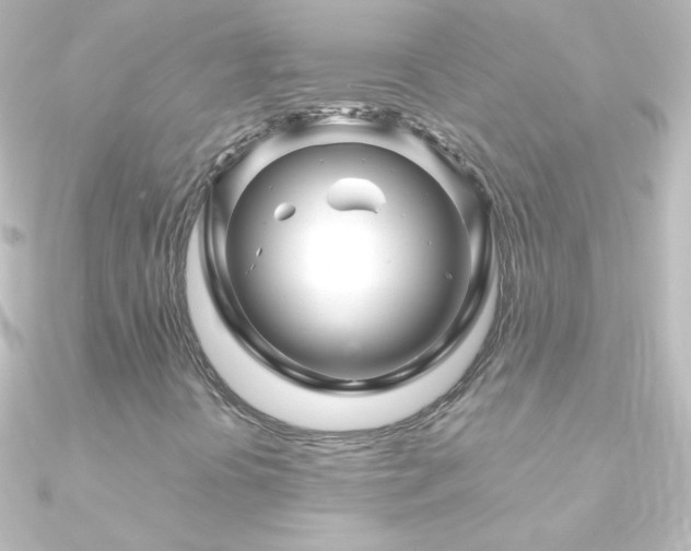 X0000090951394200708021328