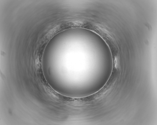 X0000090951395200708021328