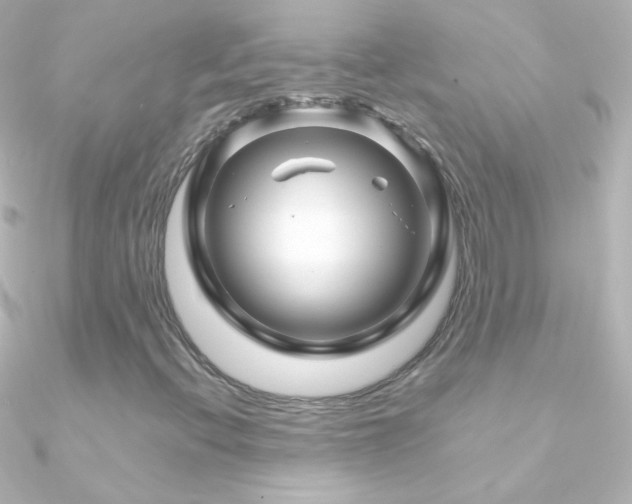 X0000090951396200708021328