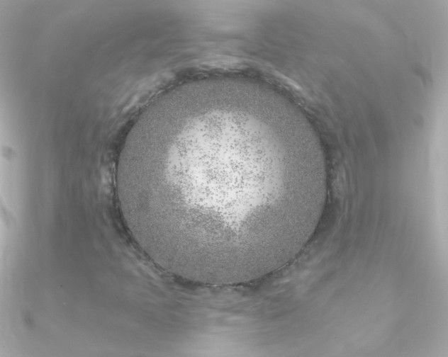 X0000090951397200708021328