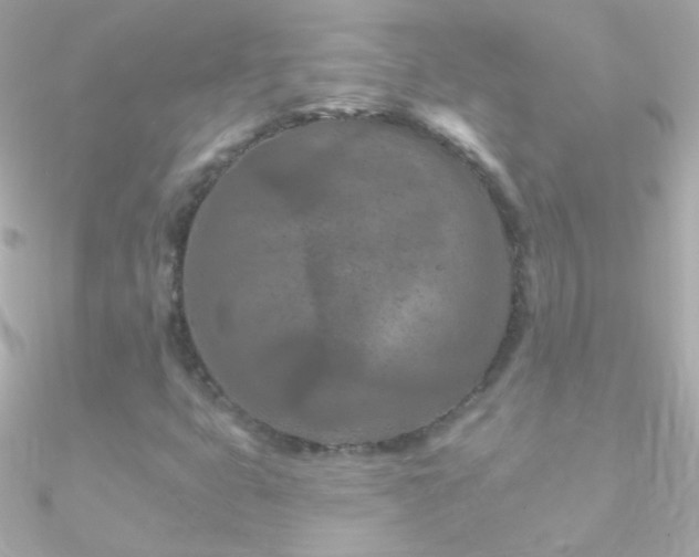 X0000090951399200708021328