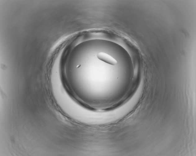 X0000090951400200708021328