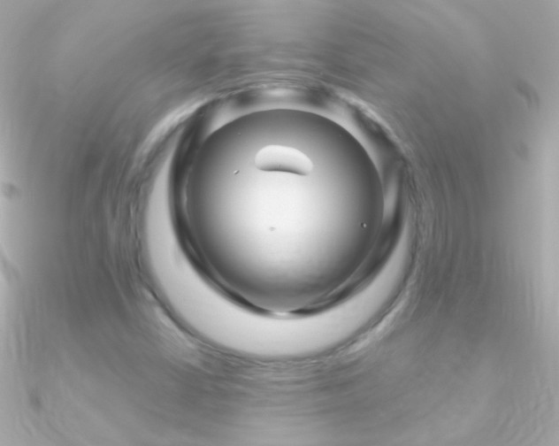 X0000090951402200708021328