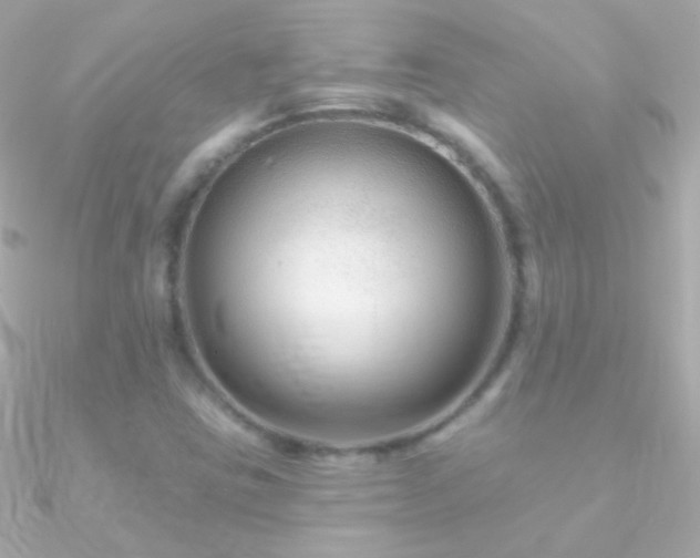 X0000090951403200708021328
