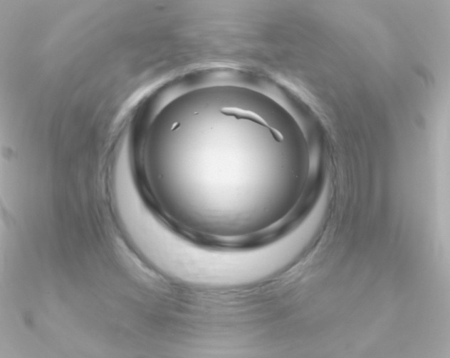 X0000090951404200708021328
