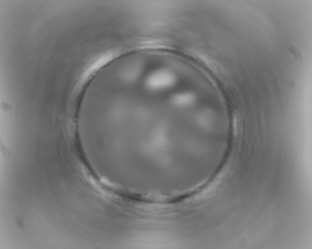 X0000090951405200708021328