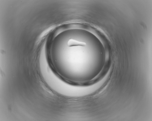 X0000090951406200708021328