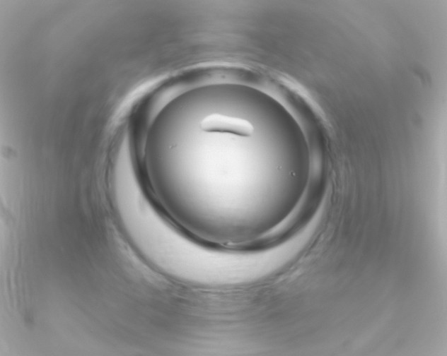 X0000090951408200708021328