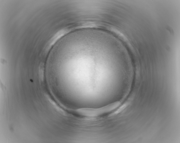 X0000090951409200708021328