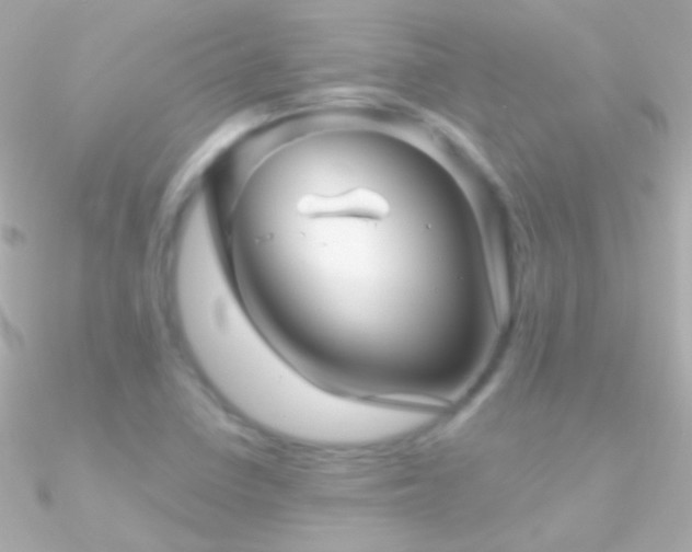 X0000090951410200708021328