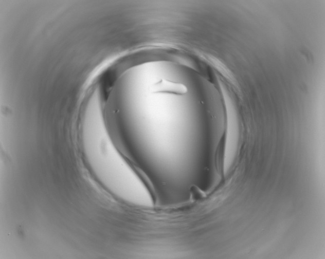 X0000090951412200708021328