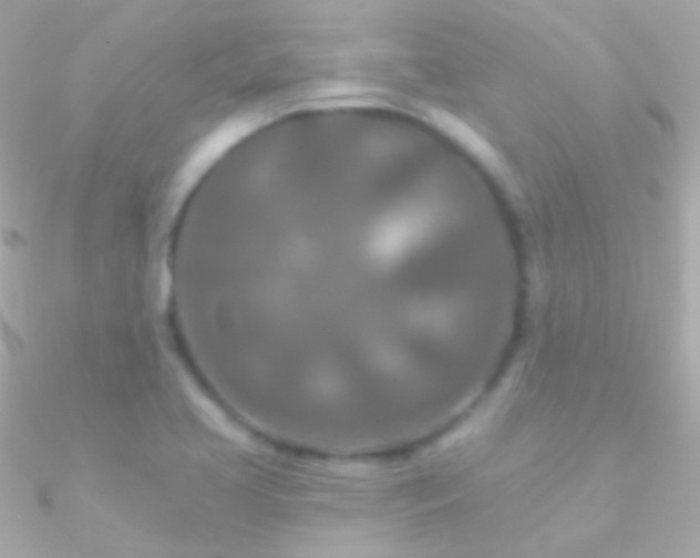 X0000090951413200708021328
